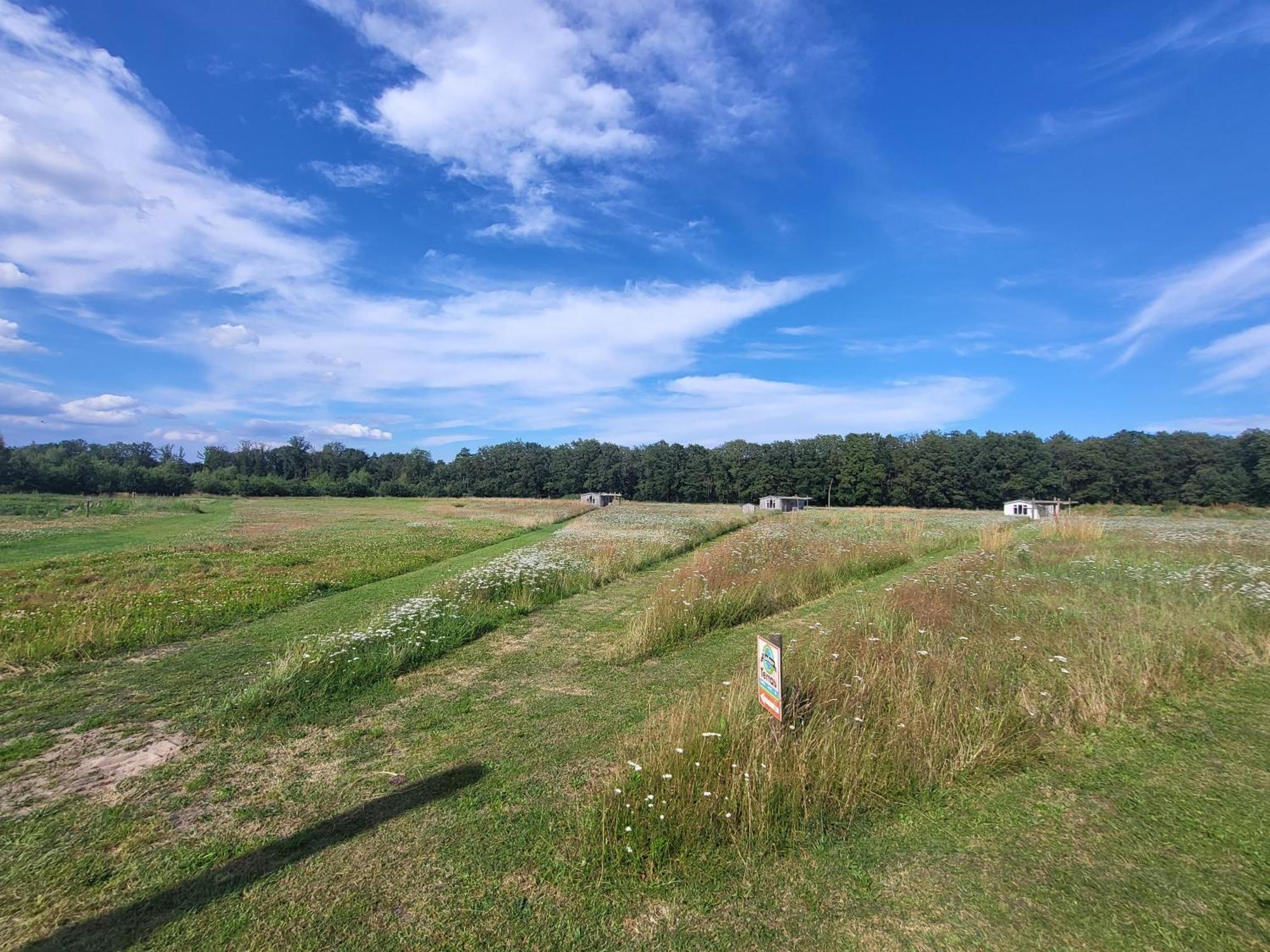 Heythuysen Hoeve Twente - De Bonte Spechtヴィラ エクステリア 写真